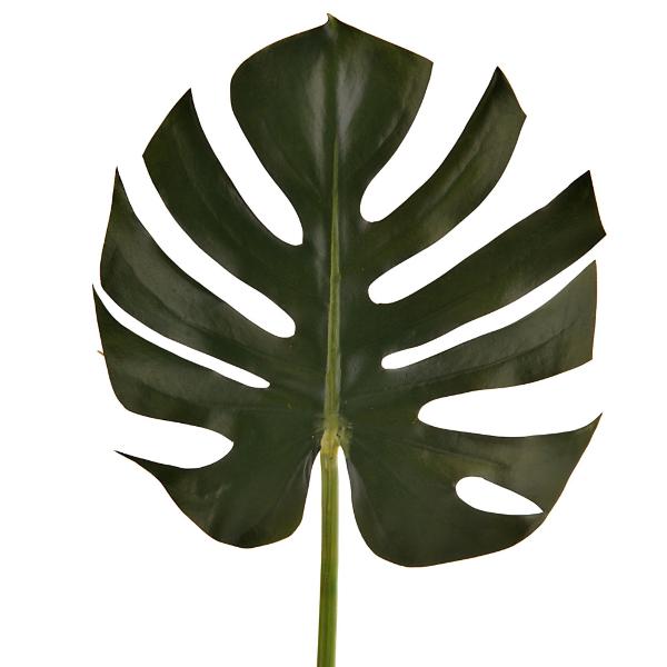 Haus Hoja Monstera Verde de Polister, Plstico y Alambre