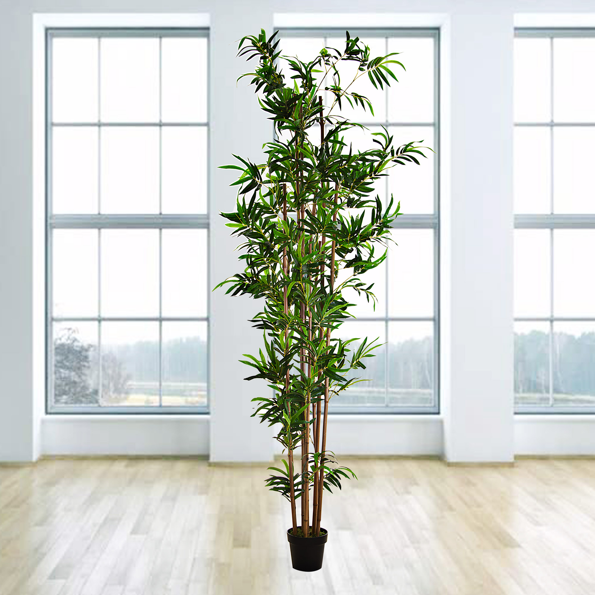Pack 75 Tutor De Bambu 120 Cm  8-10 Mm  | Varillas De Bambu Para Plantas Y Arboles Tutores Para Tomates Y Plantas Trepadoras 87497235