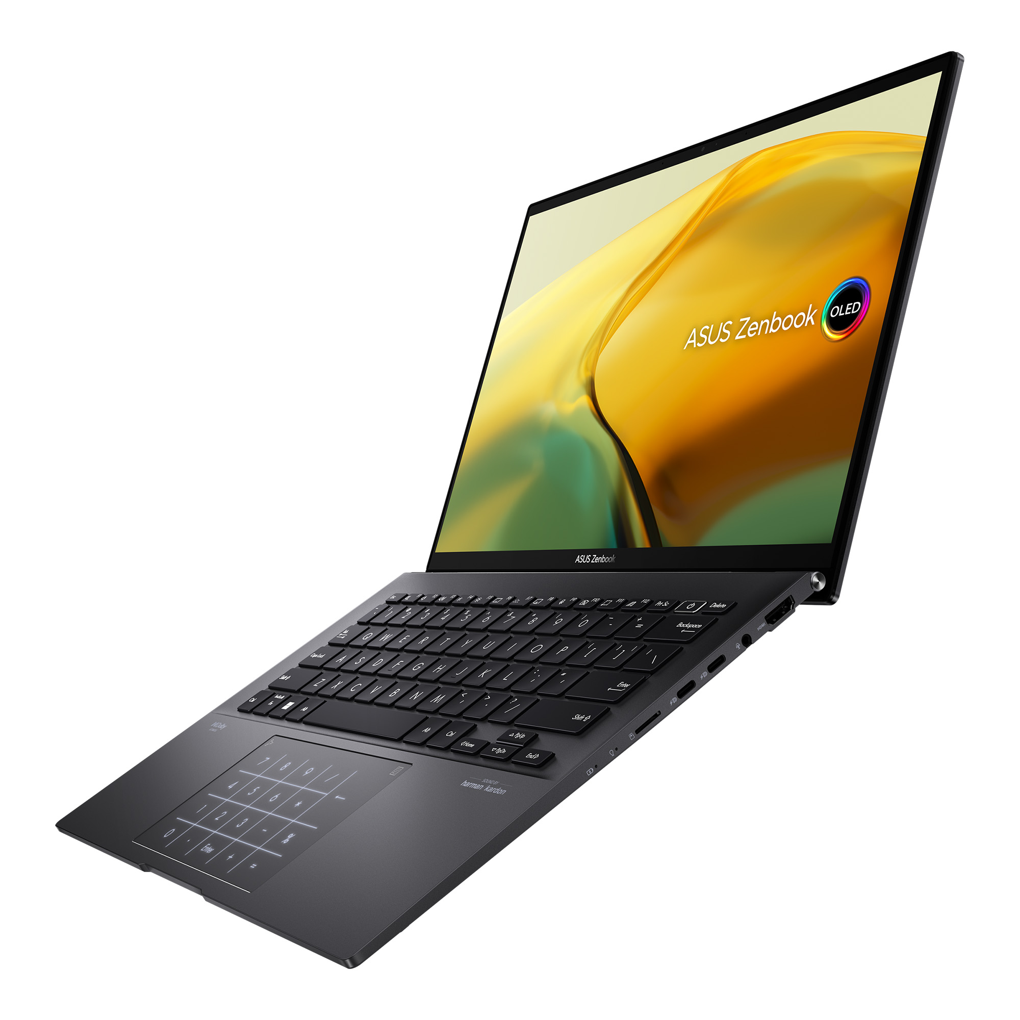 Asus Laptop Zenbook Negro R7 7 7730u 16GB / 1TB SSD / Windows 11